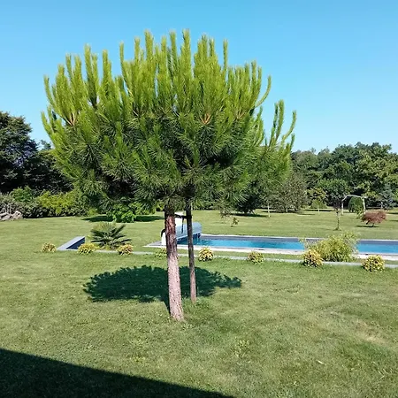 Privee Bleue Avec Piscine *